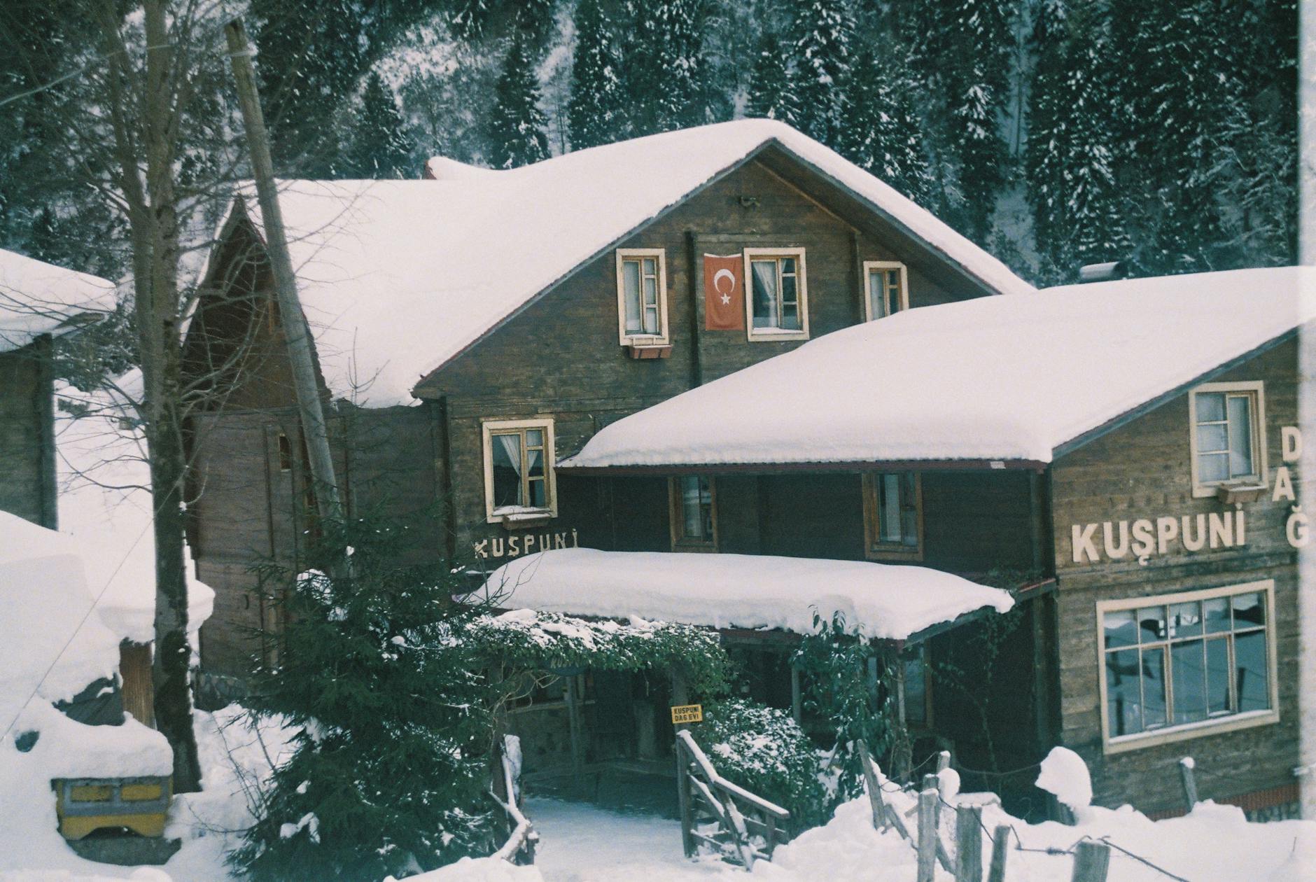 Dağ evi ve orman manzarası