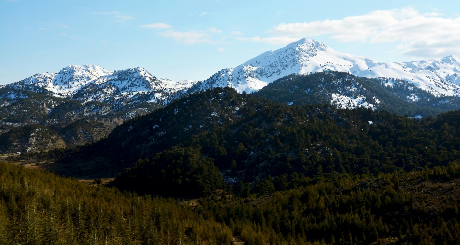 Karadeniz yayla bahar manzara