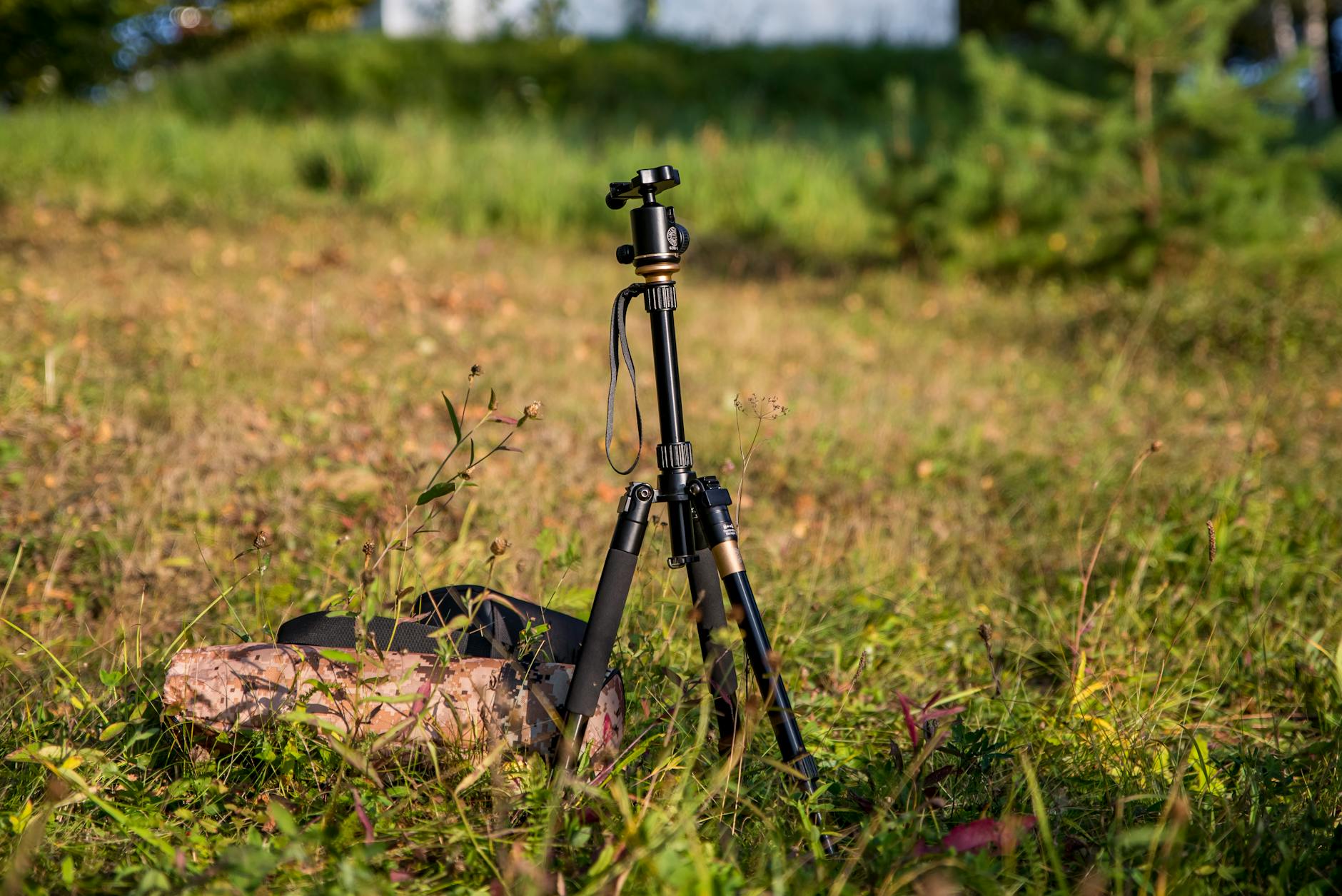 Doğa fotoğrafçısı tripod ve kamera ile çalışırken