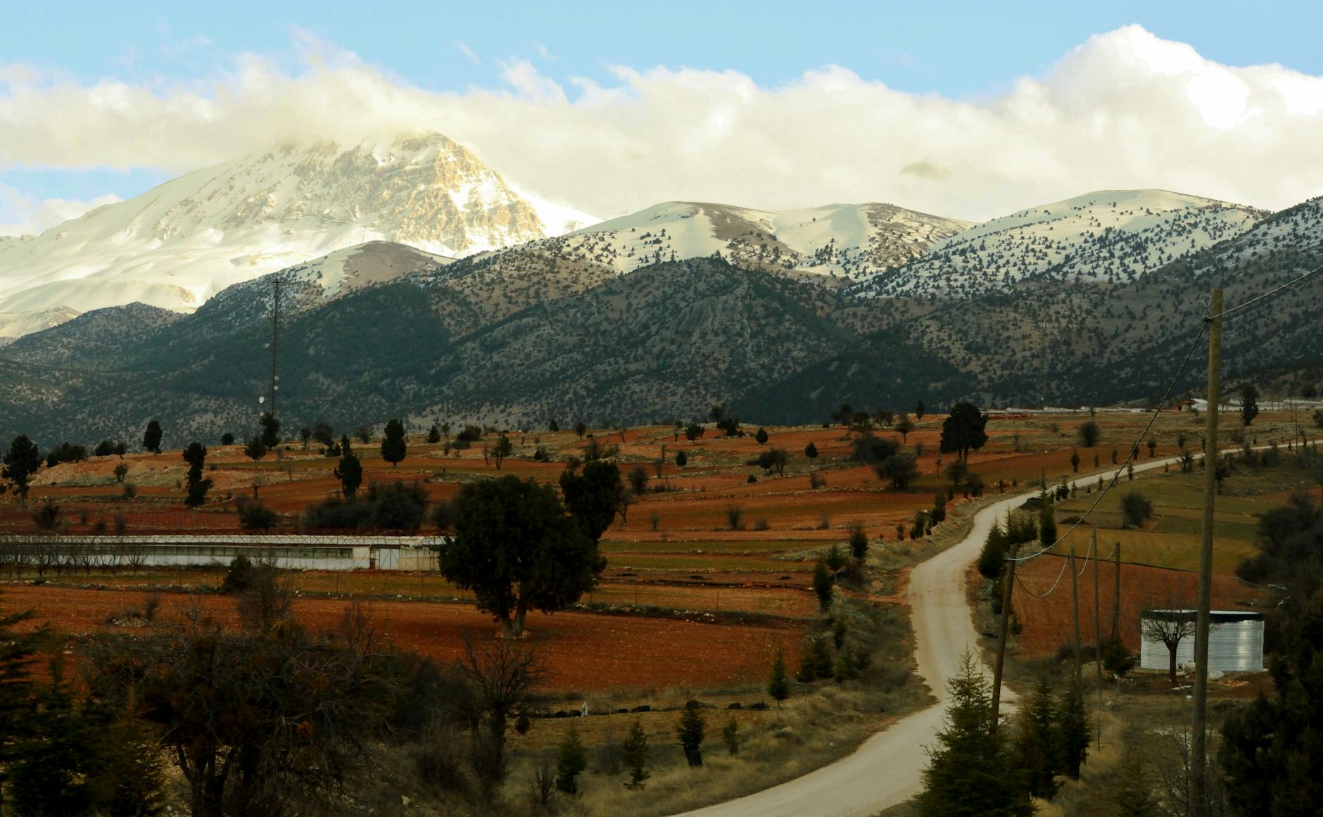 Anadolu dağ orman yol